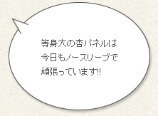 「等身大の杏パネルは今日もノースリーブで頑張っています!!」